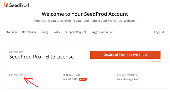 SeedProd İndirmeleri sayfası The SeedProd Downloads page