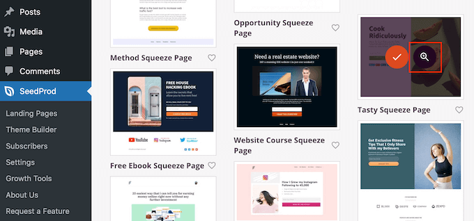 SeedProd'un profesyonelce tasarlanmış şablonları SeedProd's professionally-designed templates