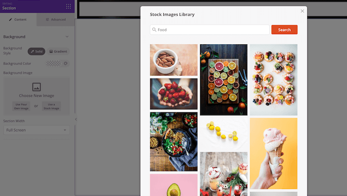 SeedProd'un stok görüntü kitaplığı SeedProd's stock image library