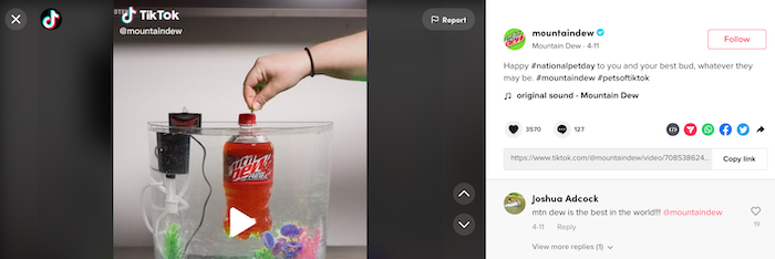TikTok 广告 如何使用热门标签 Mountain Dew 广告 TikTok Ads How to Use Popular Hashtags Mountain Dew Ad