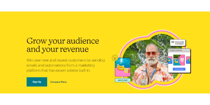 免费用户的最佳电子邮件营销软件 - MailChimp Best Email Marketing Software for Free Users - MailChimp