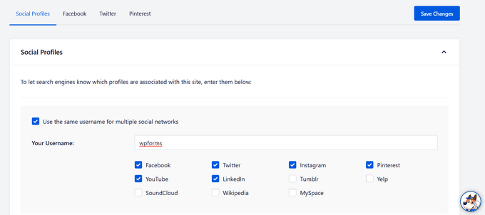 All in One SEO per i profili dei social media di WordPress (AIOSEO). All in One SEO for WordPress (AIOSEO) social media profiles