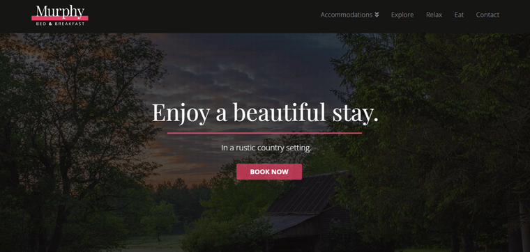 Tema X WordPress di Themeco