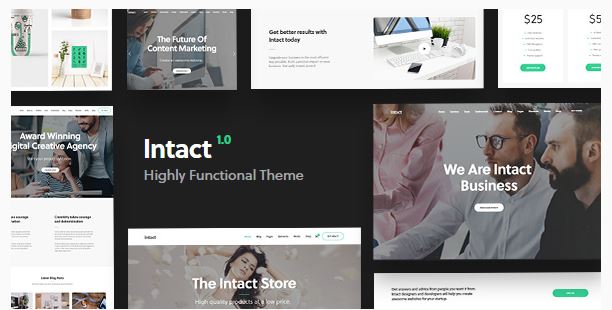 Tema WordPress intacto