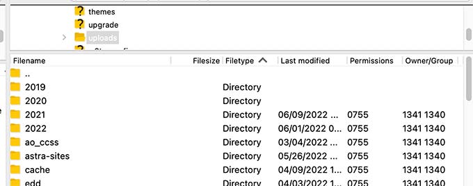 年次および月次のフォルダに整理されたメディアのアップロード Media uploads organized in year and monthly folders