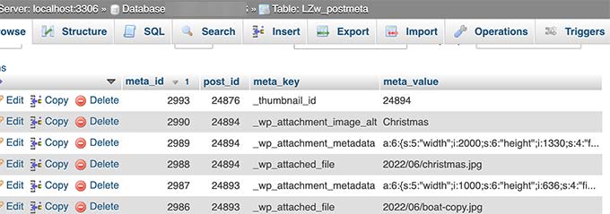 WordPressデータベースに保存されている画像メタデータ Image meta data stored in WordPress database