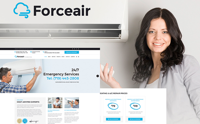 ธีม WordPress ForceAir องค์ประกอบ