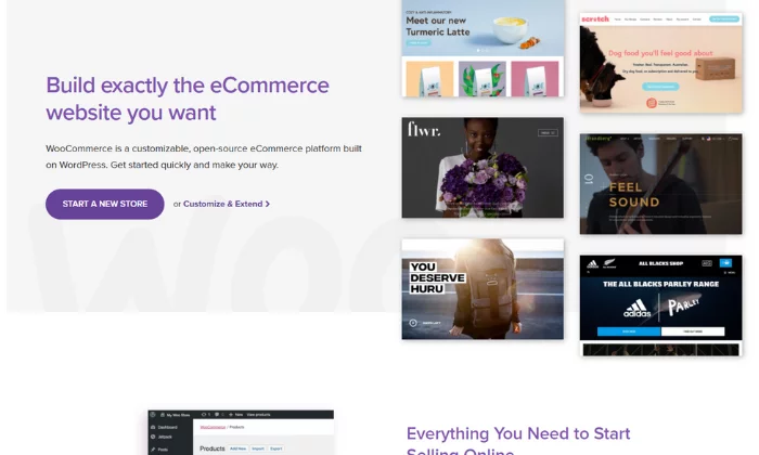 最佳电子商务平台的 WooCommerce 启动页面