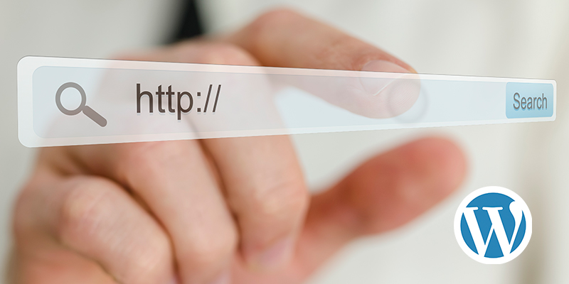servizio di hosting hosting-service