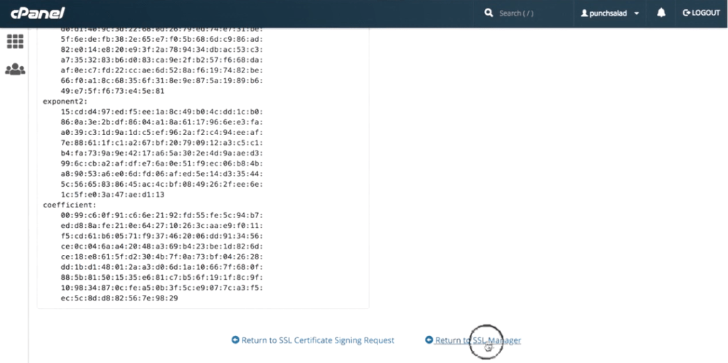 cPanel