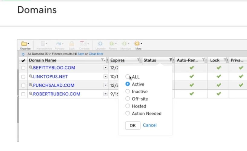 Besorgen Sie sich die Nameserver Ihres Hosting-Providers. Bild 7