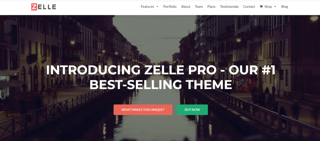 temi wordpress
