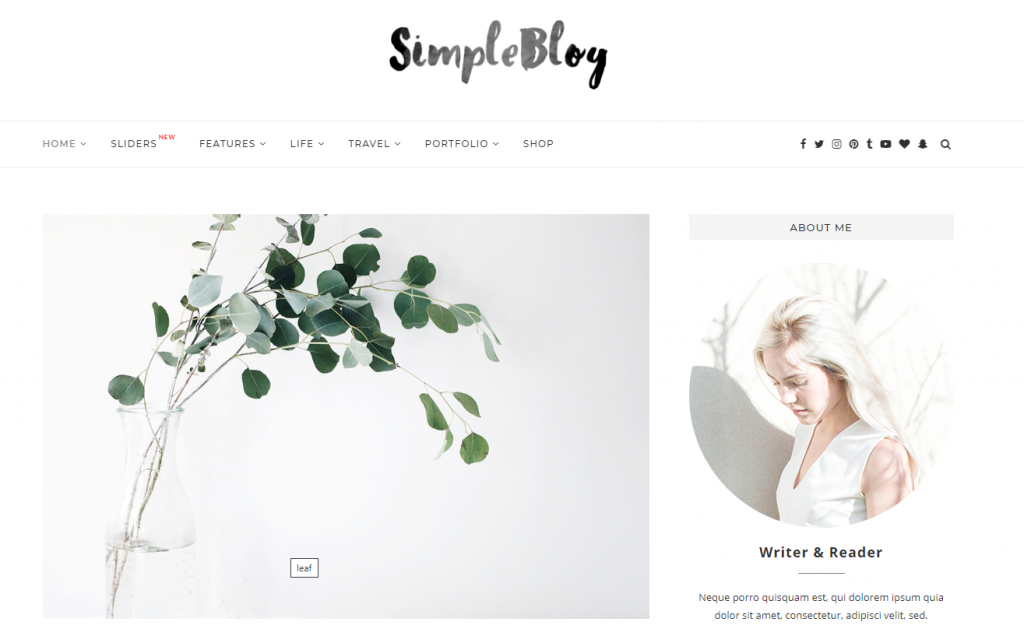ธีม WordPress ที่เรียบง่ายเรียบง่าย