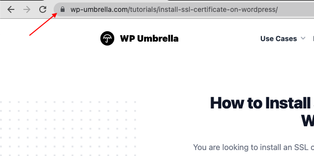 Surveillance SSL