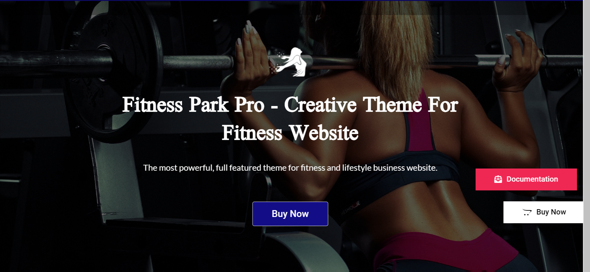 ธีม Fintens Park Pro