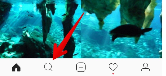 Instagram 操作栏的像,带有指向搜索按钮的箭头。