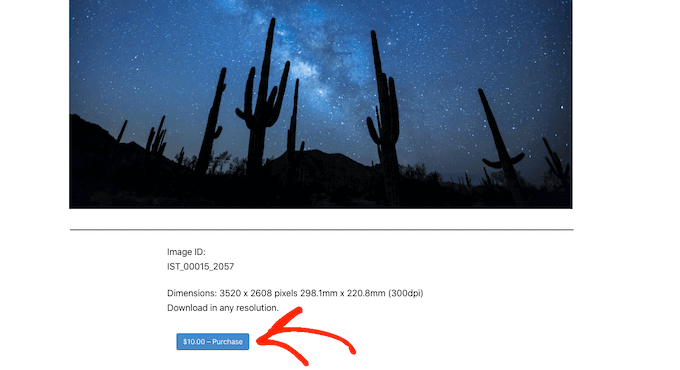 使用 WordPress 在线销售数字艺术和图形 使用 WordPress 在线销售数字艺术和图形