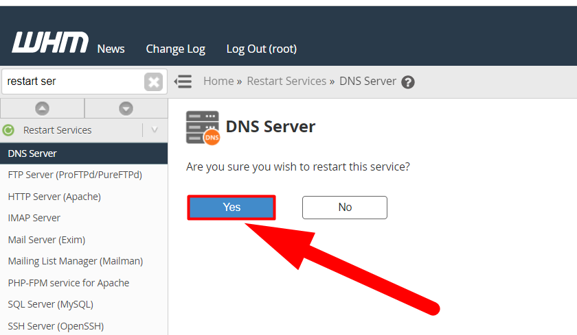 DNS Sunucusu Hizmetlerini Yeniden Başlatın