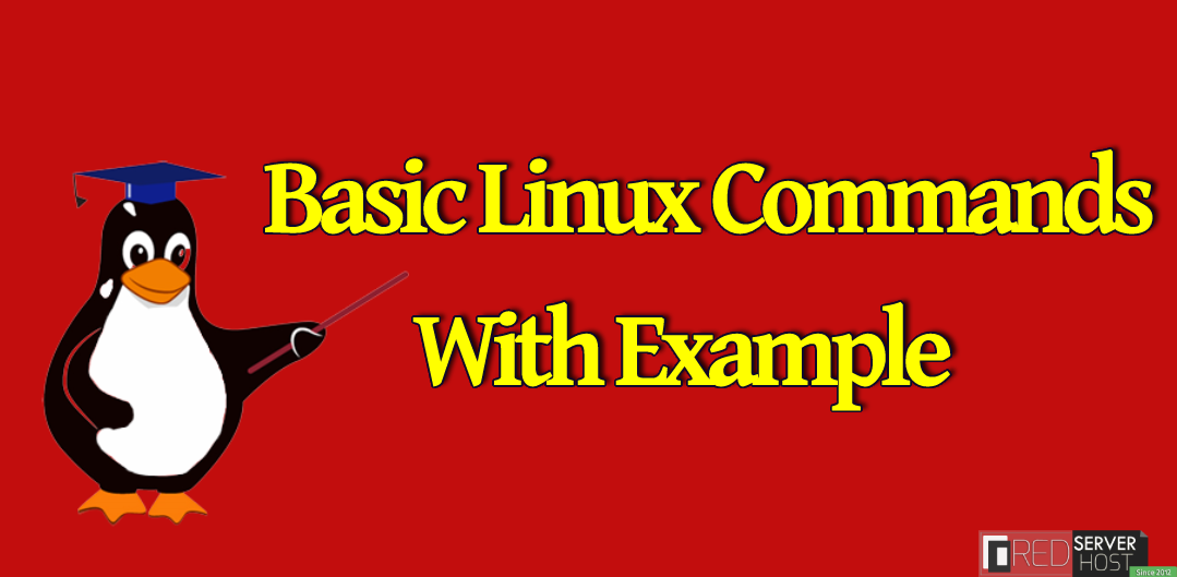 основные команды Linux для начинающих с примером