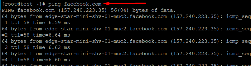 команда ping в линукс