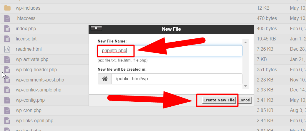 ไฟล์ PHPinfo