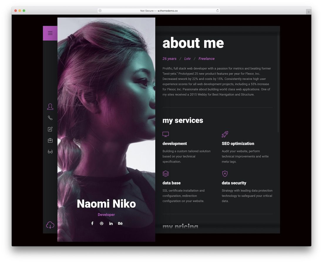 szablon CV niko