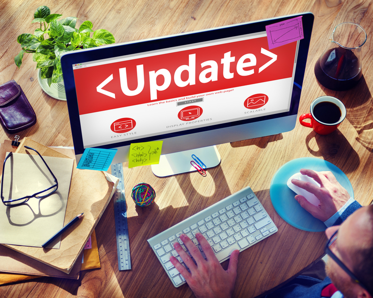 ธีม-ปลั๊กอิน-อัปเดต Theme-Plugin-Update