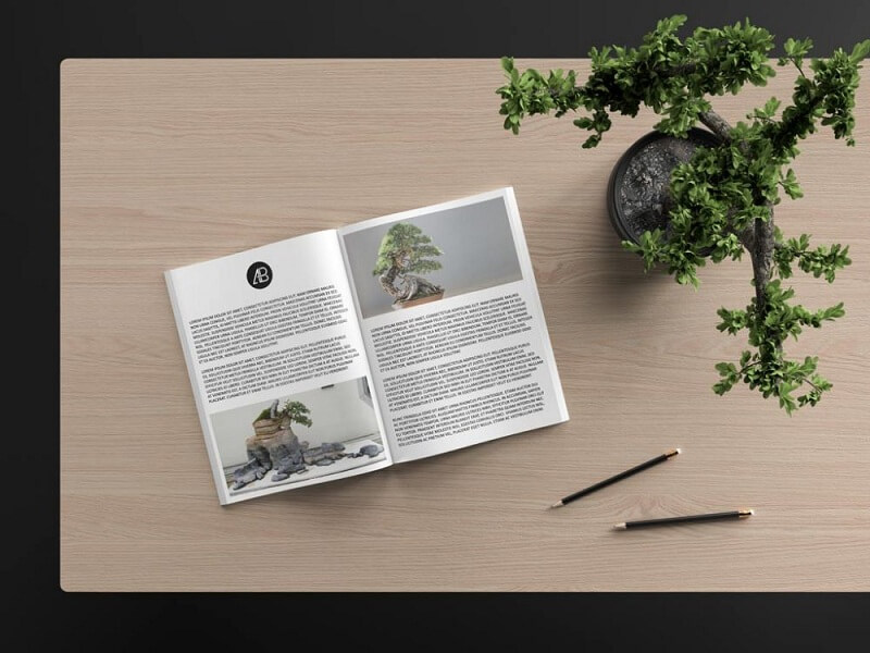 Revista Catálogo Moderno