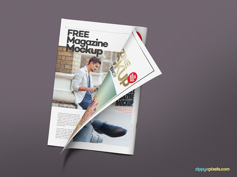Revista