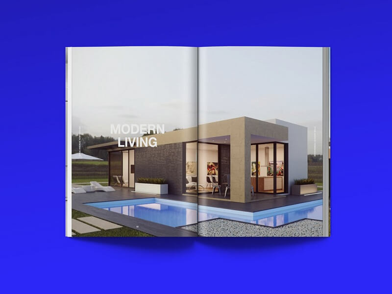 Revista