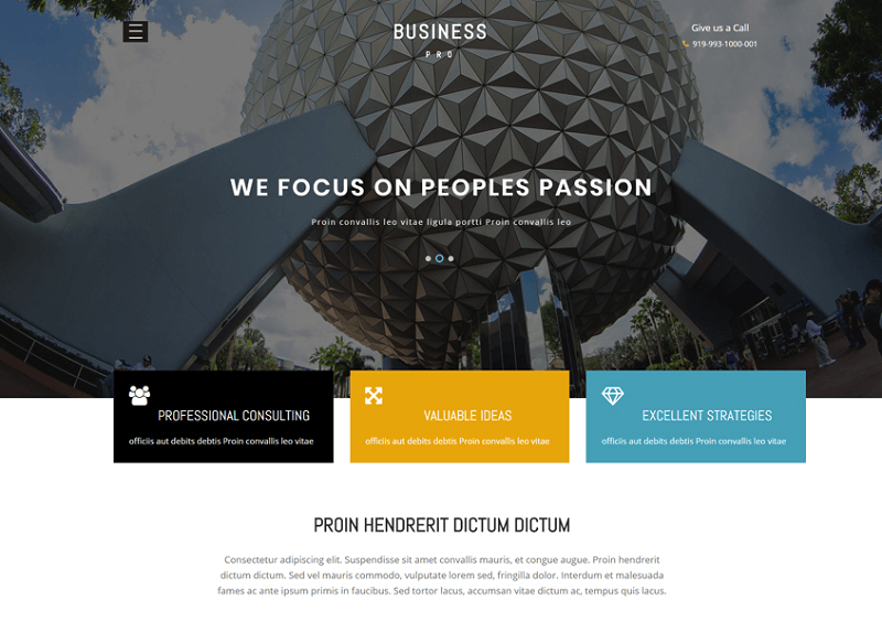 Professionnel des affaires
