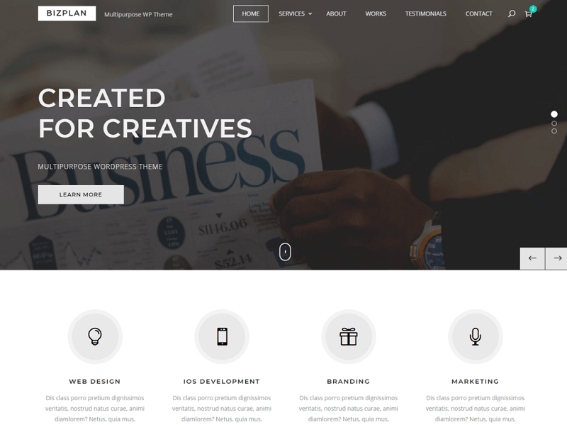 Bizplan