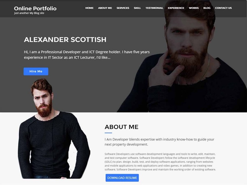 Portfólio on-line