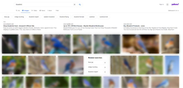 Ricerca immagini su Yahoo
