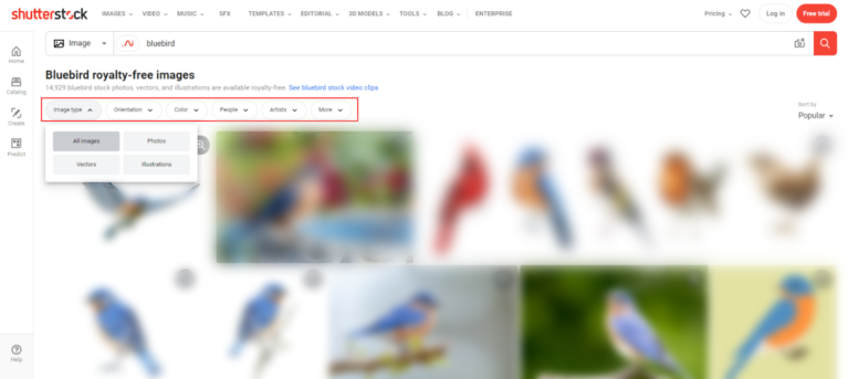 Shutterstock