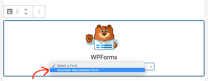 Adăugarea unui formular de cerere de voluntariat pe site-ul dvs. WordPress Adding a volunteer application form to your WordPress website