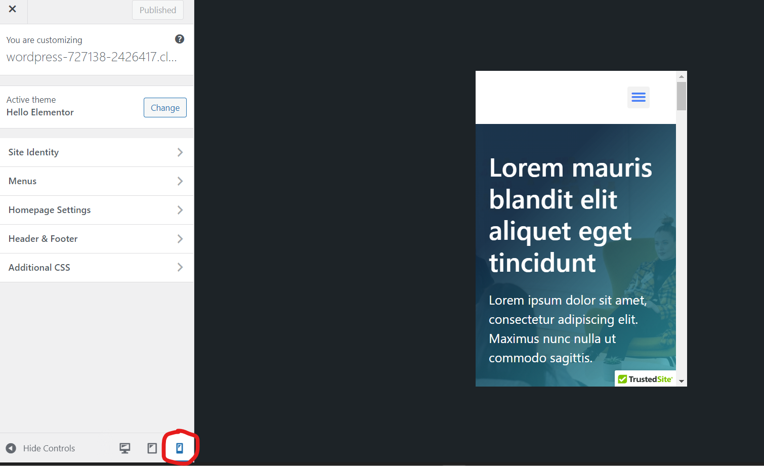 WordPress 定制器中的移動預覽