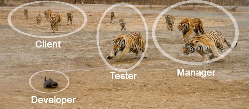 client-dezvoltator-tester-manager-amuzant-meme
