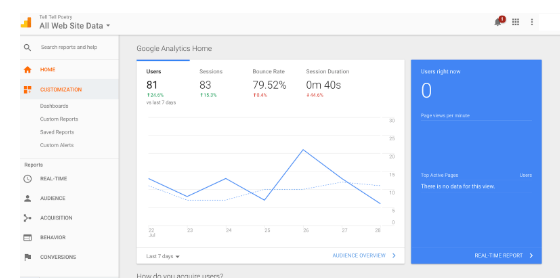 如何增加您的博客受众 – 8 个可行的专家提示 google anaylaics