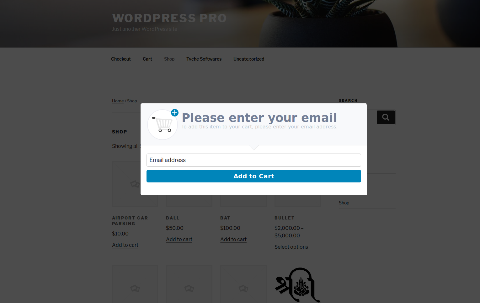 Acquisisci l'indirizzo e-mail del visitatore prima della pagina di pagamento con il plug-in WooCommerce Abandoned Cart Pro 7 Capture Visitor Email Address before Checkout page with WooCommerce Abandoned Cart Pro plugin - Tyche Softwares