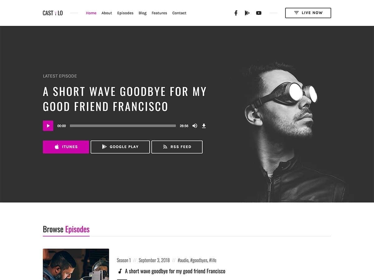 10 лучших тем WordPress для подкастов 2021 года Castilo-Best podcast wordpress theme