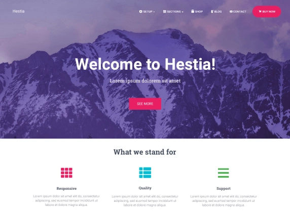 2021 年超过 15 个适用于商业网站的最佳免费 WordPress 主题 Business Theme Hestia