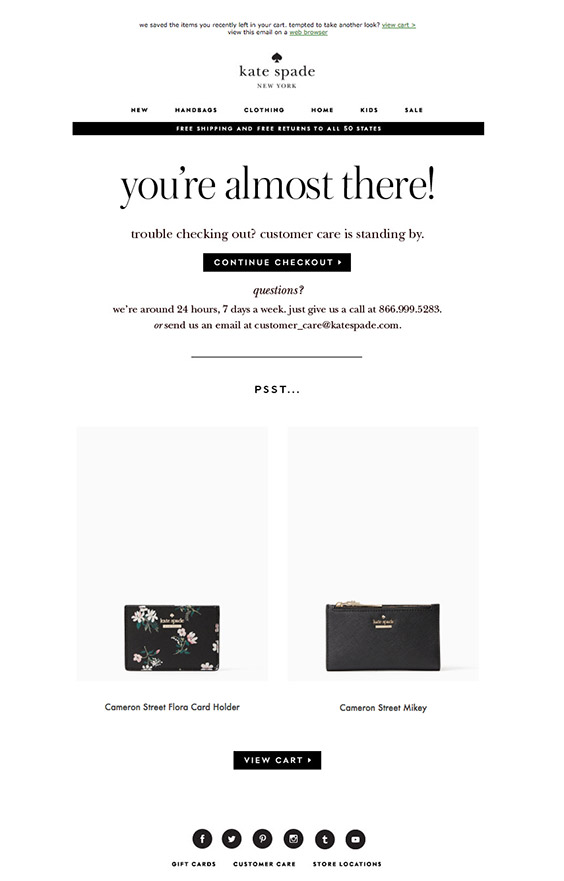 11 Best Abandoned Cart Email Examples - Tyche Softwares