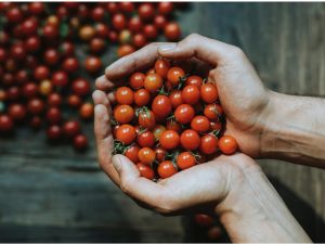 Farms using order delivery date plugin for woocommerce