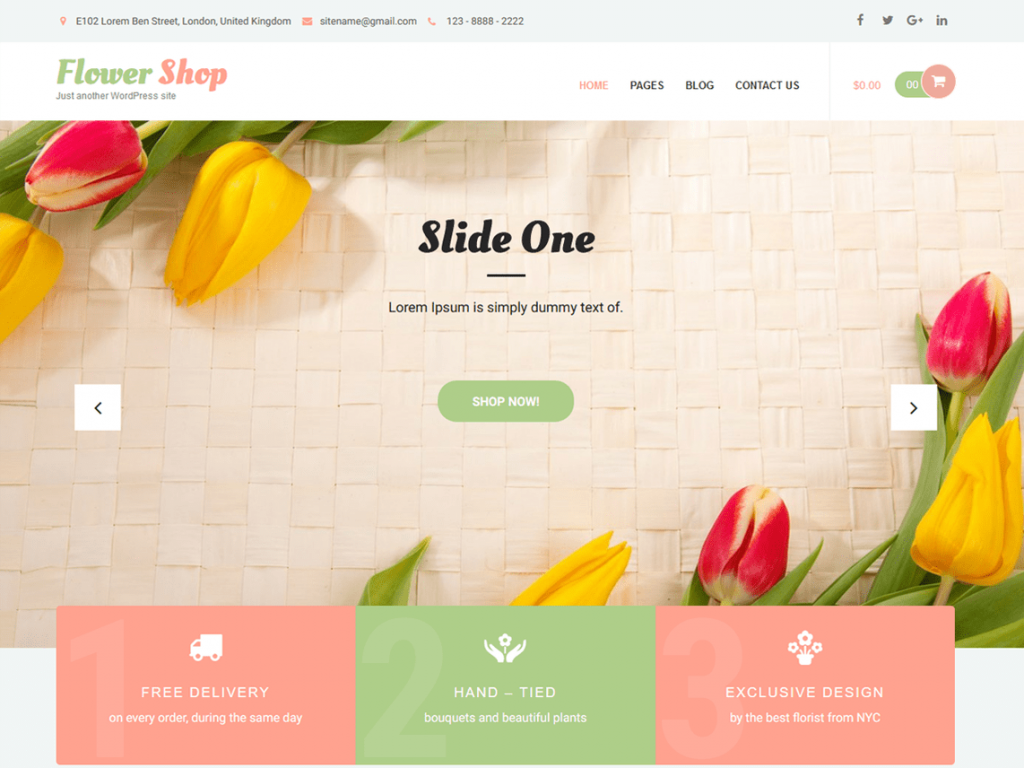 WooCommerce Store 7 に最適な 13 のテーマ Best Themes for WooCommerce Store | tychesoftwares.com
