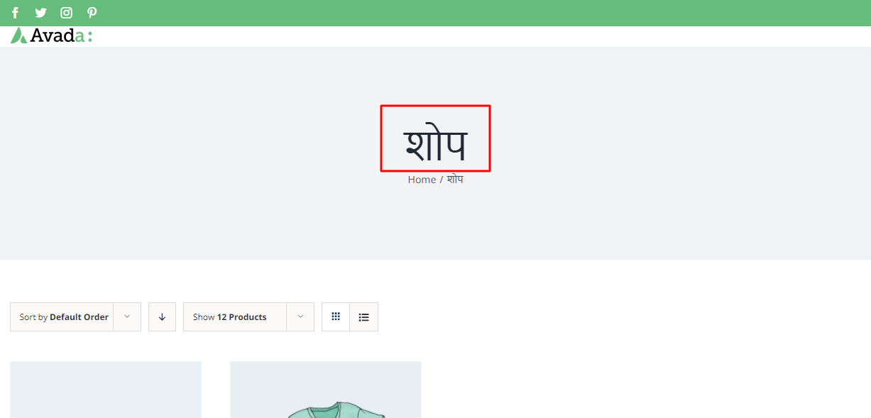 How to set up a multilingual WooCommerce store? - Tyche Softwares
