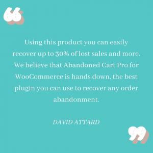SKYROCKET YOUR SEASONAL SALES - Tyche Softwares