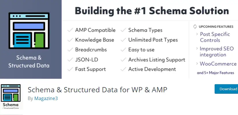Schemă și date structurate pentru WP și AMP