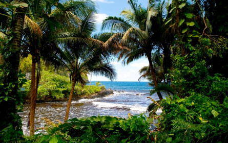 Pulau besar