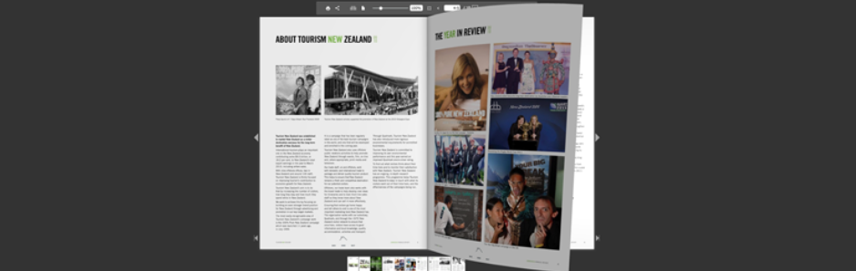 Wordpress-Pdf-Viewer-Complementos